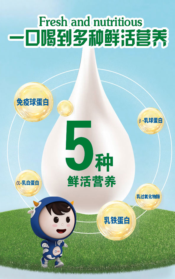 修改-拷贝_02.jpg